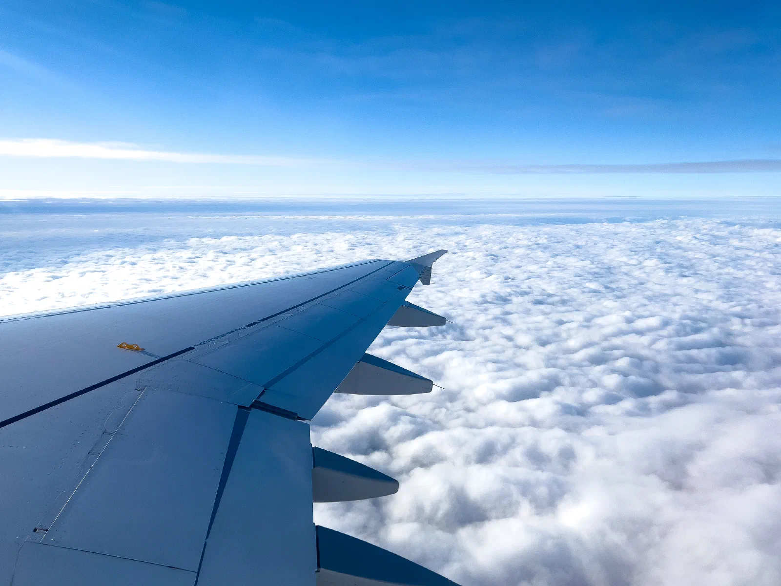Plane Wing