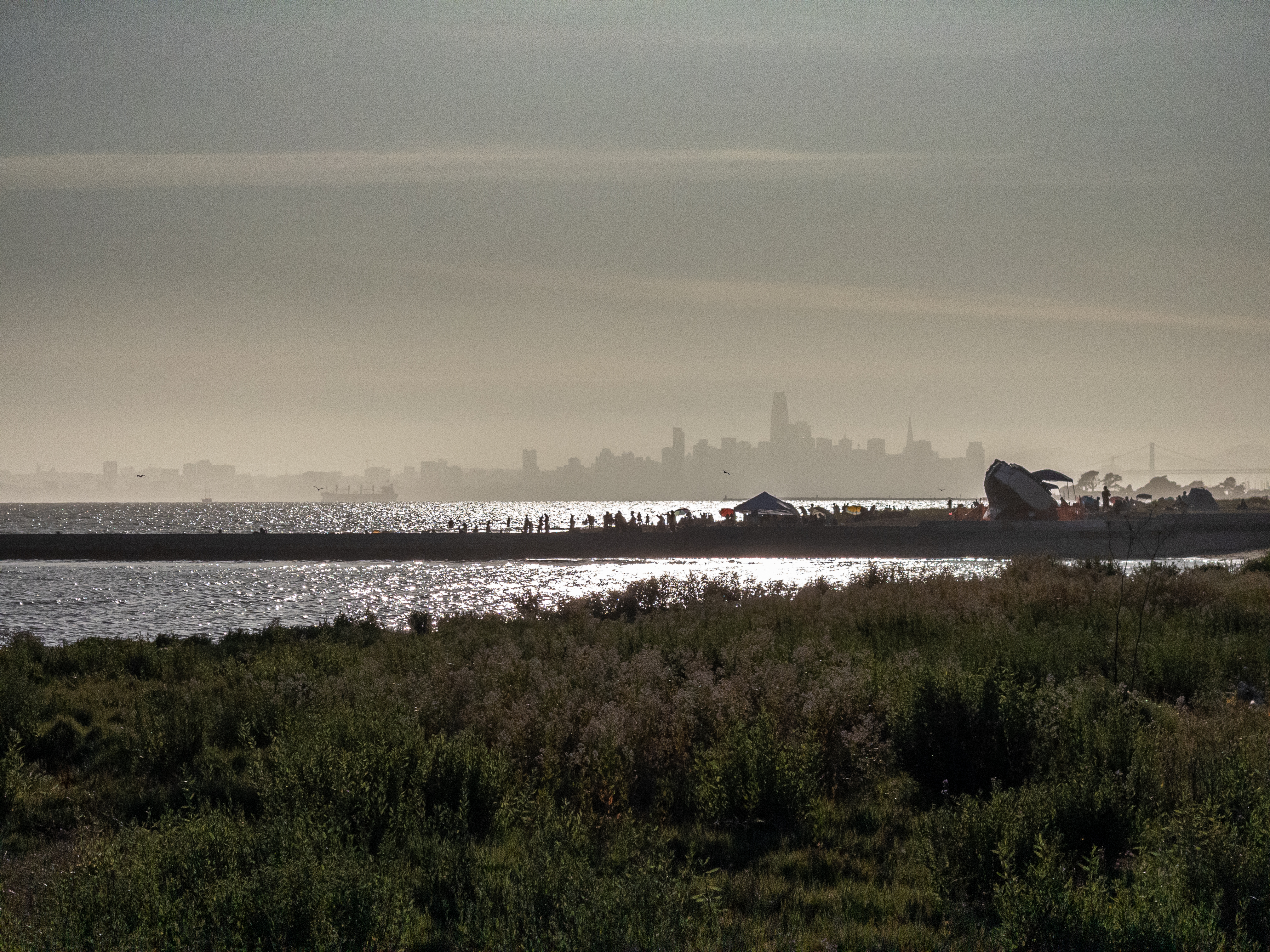 View of San Francisco from Alameda in the late afternoon