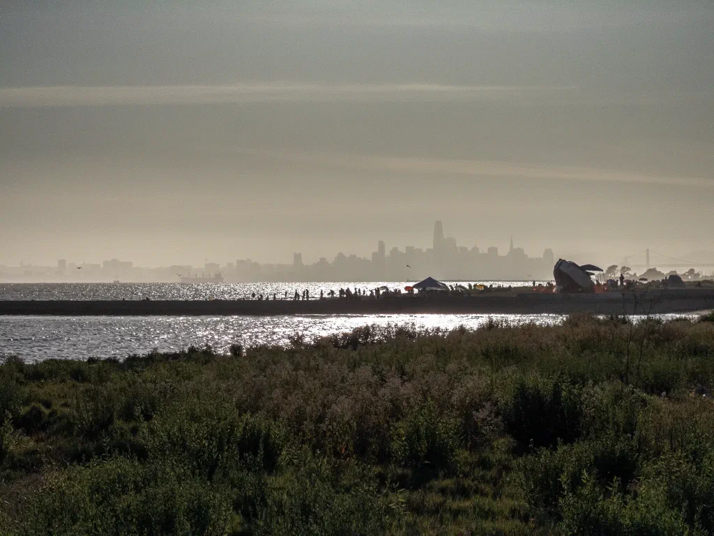 View of San Francisco from Alameda in the late afternoon